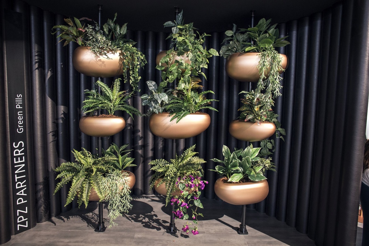 Indoor Plants Decoration